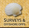 Surveys and Offshore Opps