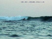 MANZANILLO OUTER REEF BREAK